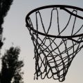 Panier basket